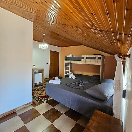 Castle - Inside,voga Guesthause